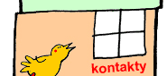 Kontakty